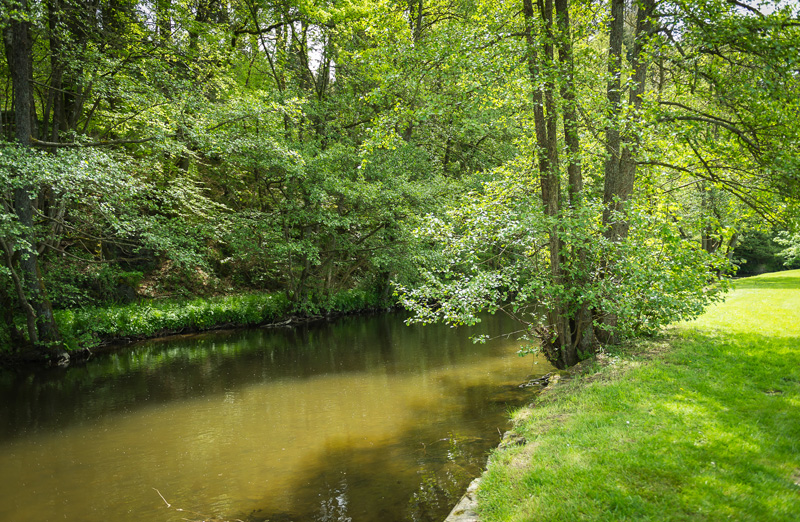 Omgeving — Camping Pont de Berguème, foto 4